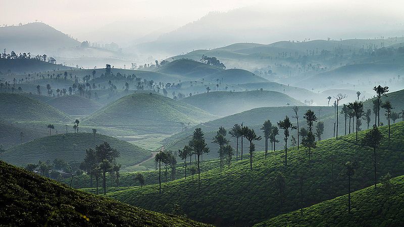 Top slip and Valparai Package