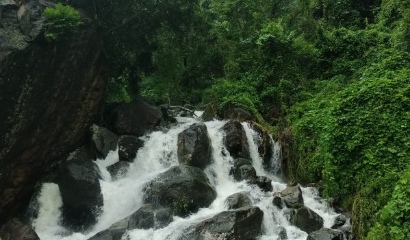 Nelliyampathy One Day Sightseeing photo