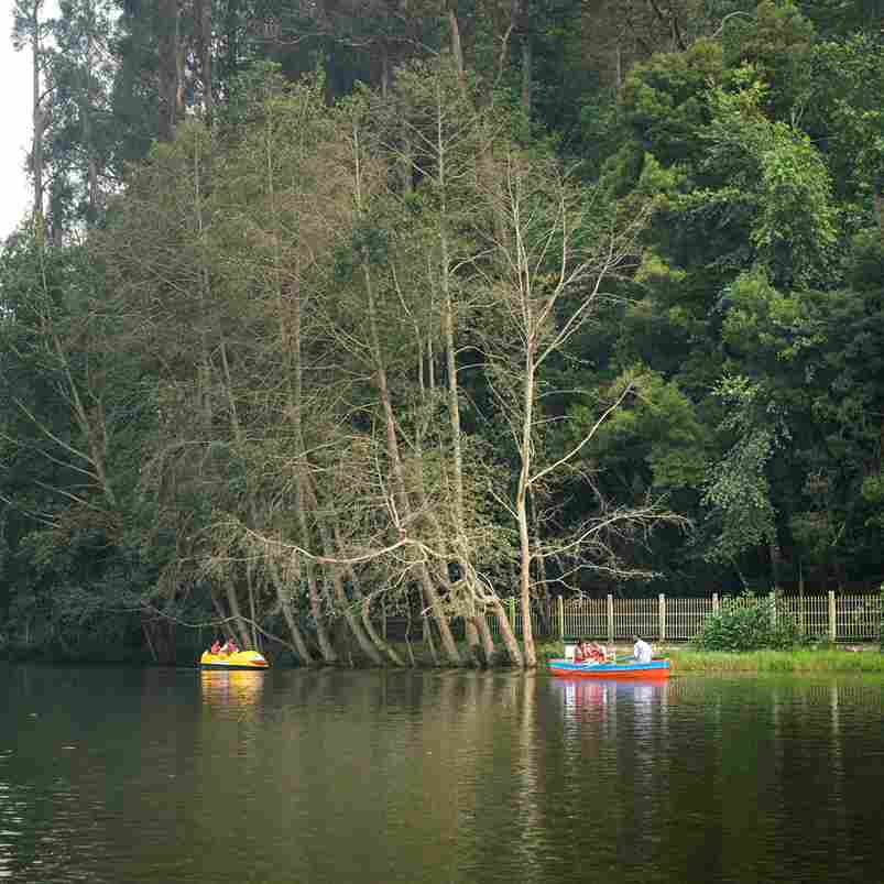 Kodaikanal Honeymoon Package 