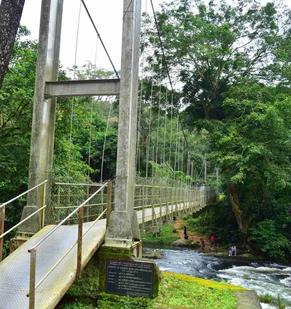 Nelliyampathy One Day Sightseeing photo