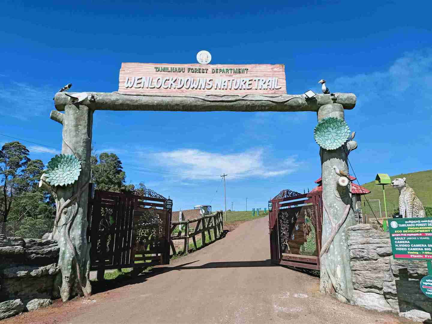 Ooty and Coonoor Honeymoon Package 