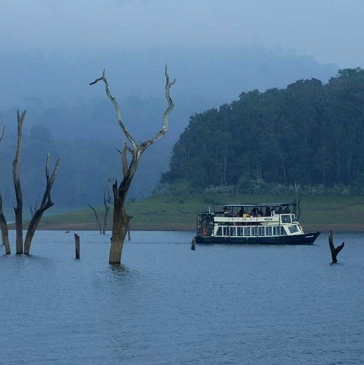 Idukki, Thekkady & Vagamon Package