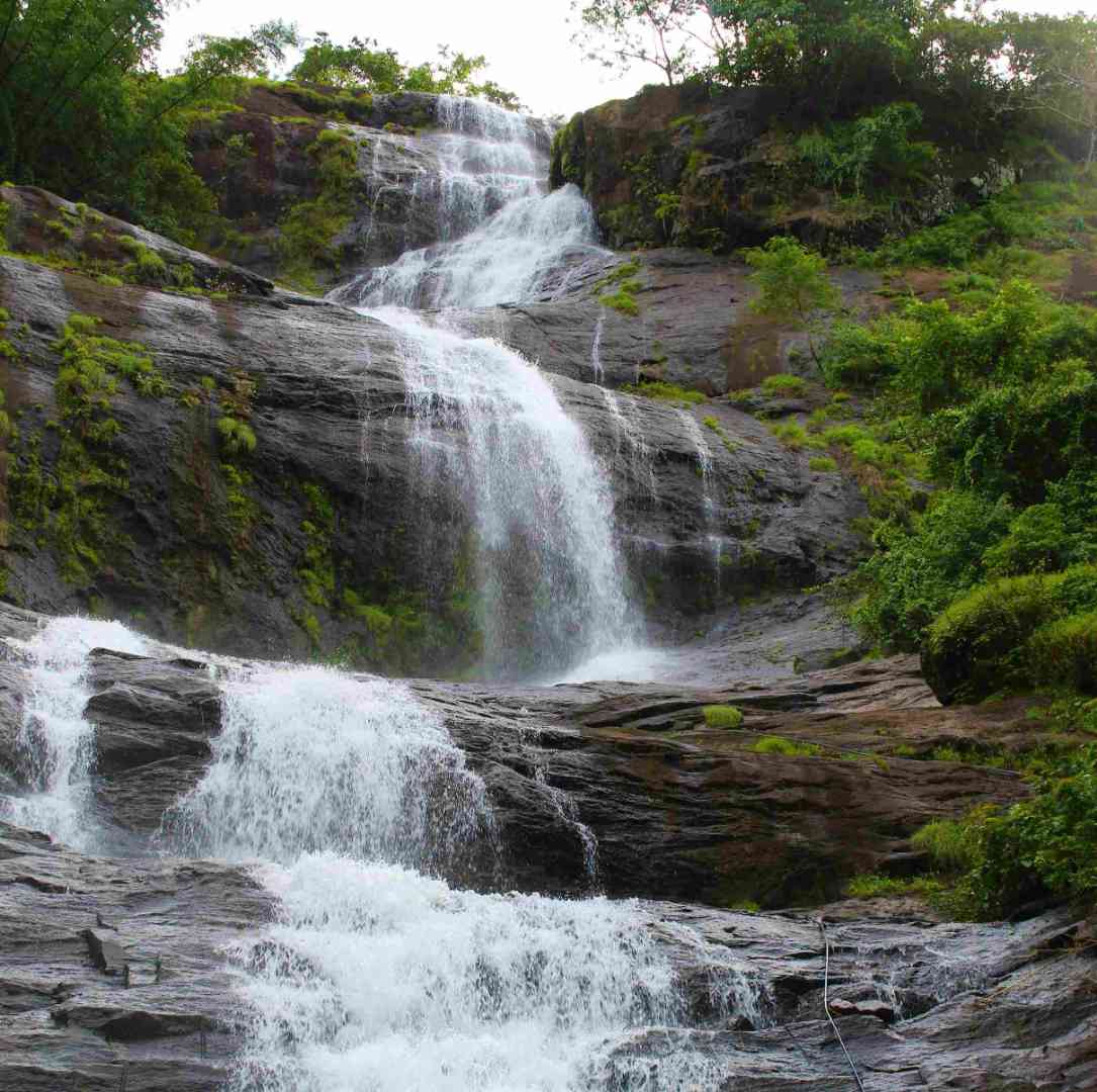 Kovalam, Varkala, Ashtamudi and Munnar Package