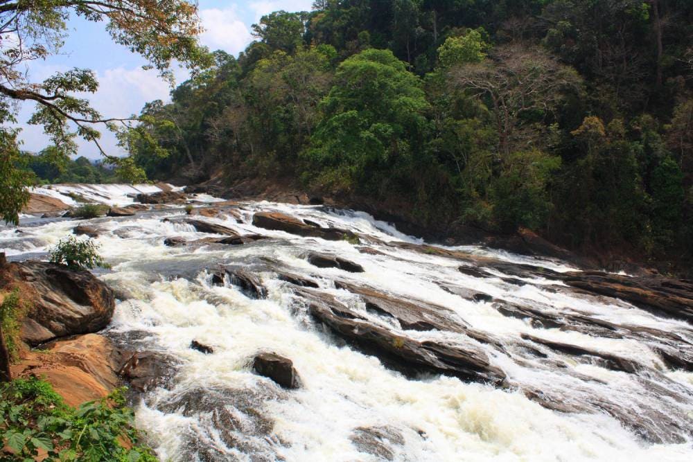 1 Day Athirapally Sightseeing photo